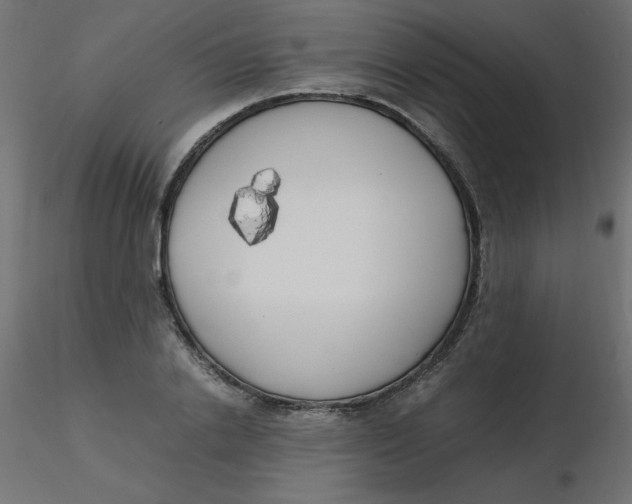 X0000116620838200912312137