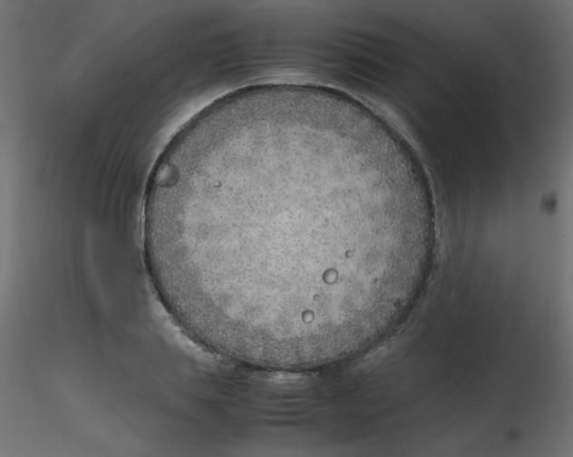 X0000116620839200912312137