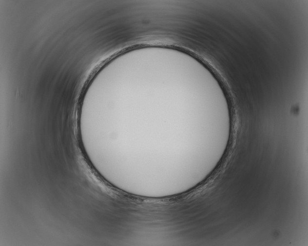 X0000116620840200912312137