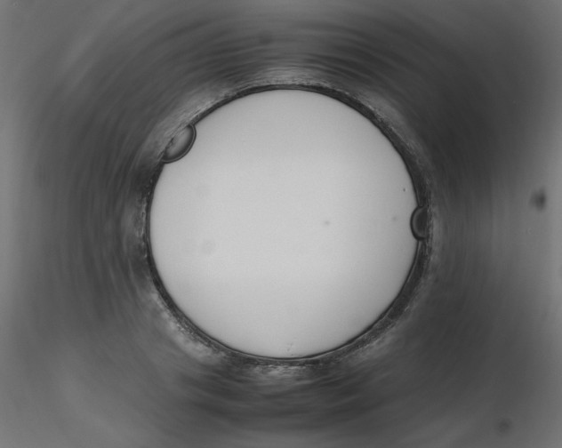 X0000116620841200912312137