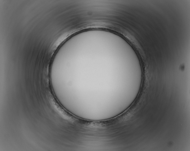 X0000116620842200912312137