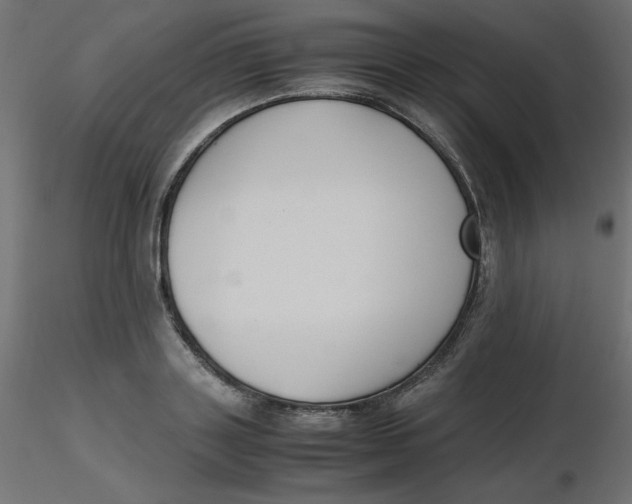 X0000116620843200912312137