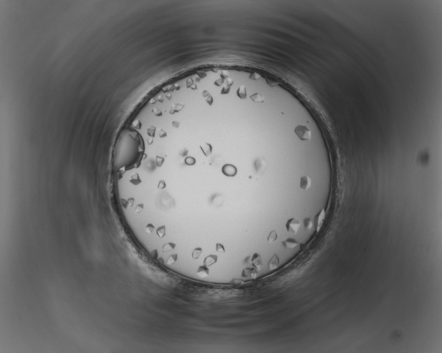 X0000116620845200912312137