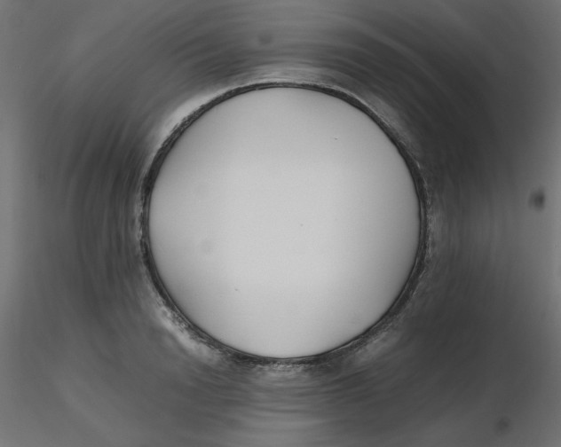 X0000116620846200912312137