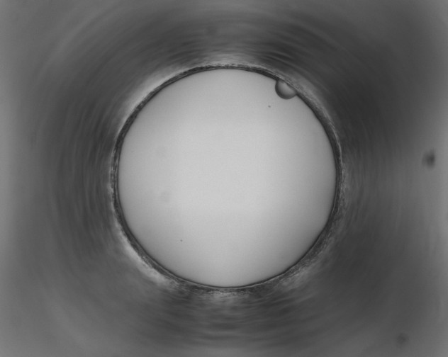 X0000116620847200912312137