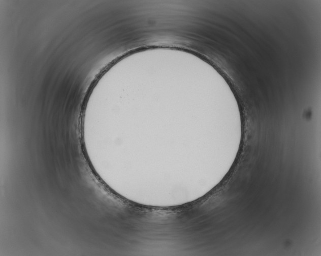 X0000116620848200912312137