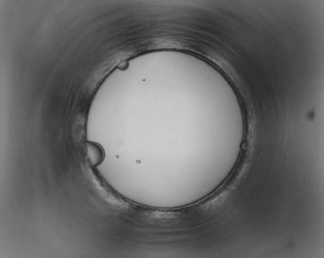 X0000116620849200912312137