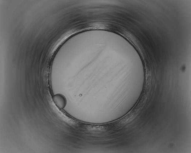 X0000116620851200912312137