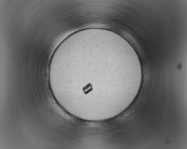 X0000116620852200912312137