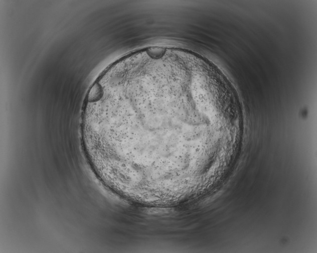 X0000116620853200912312137