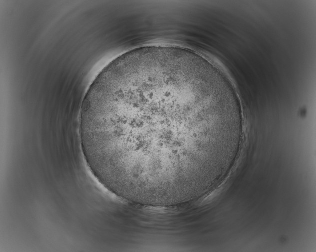 X0000116620855200912312137