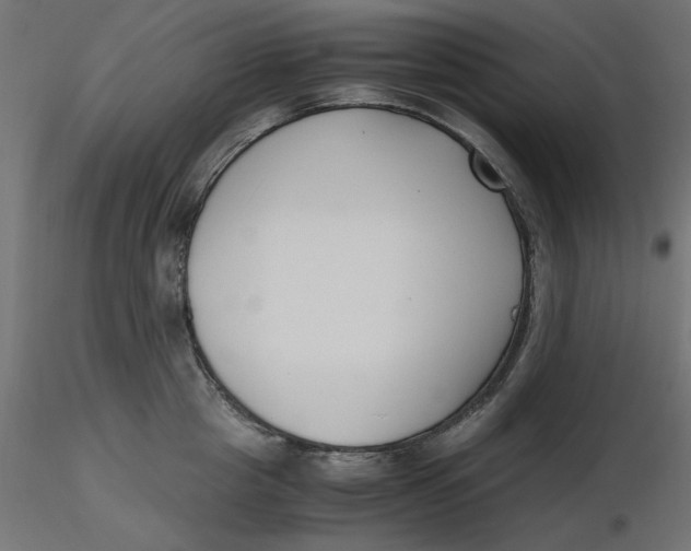 X0000116620857200912312137