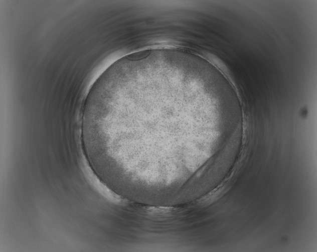 X0000116620859200912312137