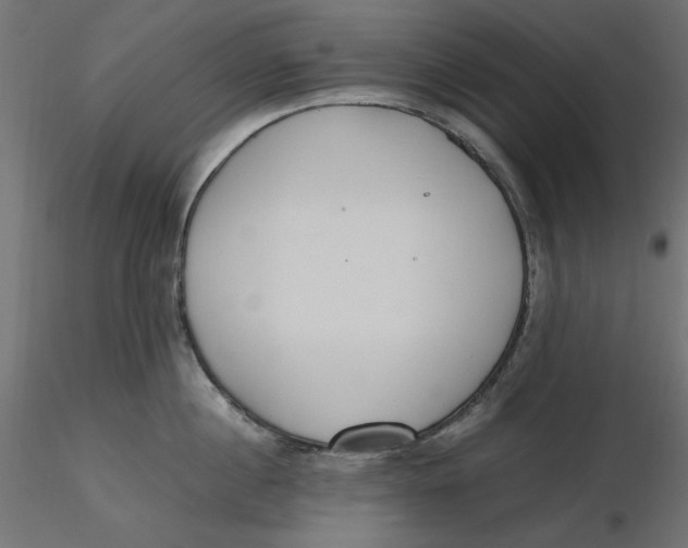 X0000116620860200912312137