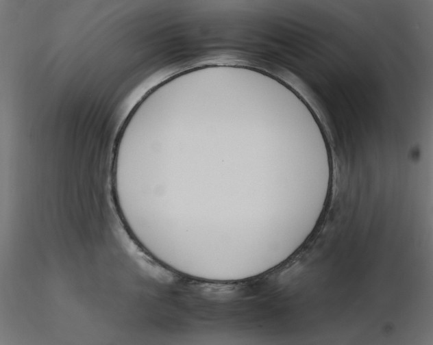 X0000116620861200912312137