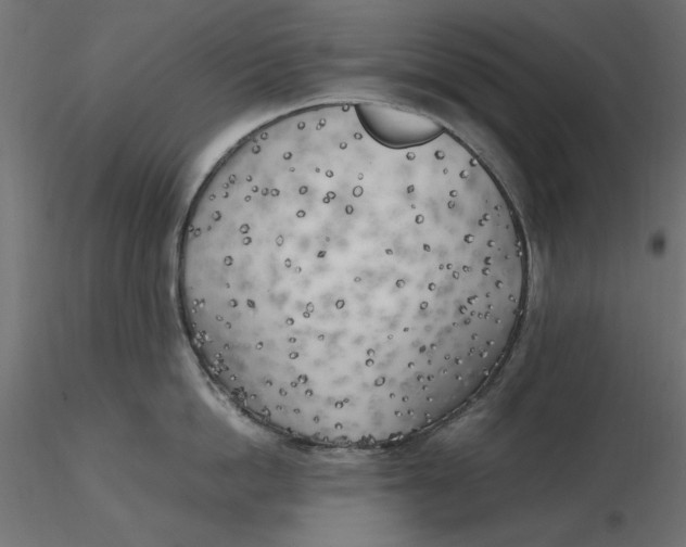 X0000116620862200912312137