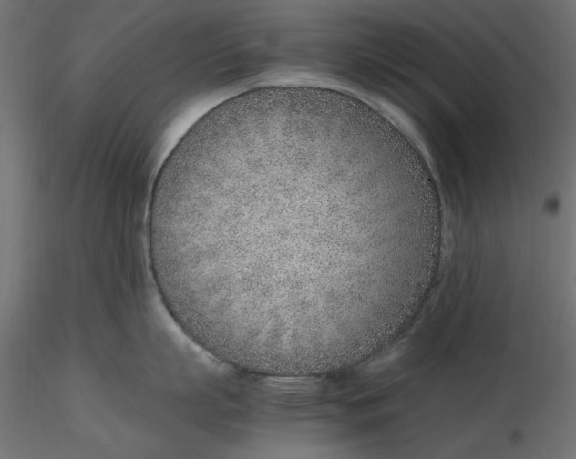 X0000116620863200912312137