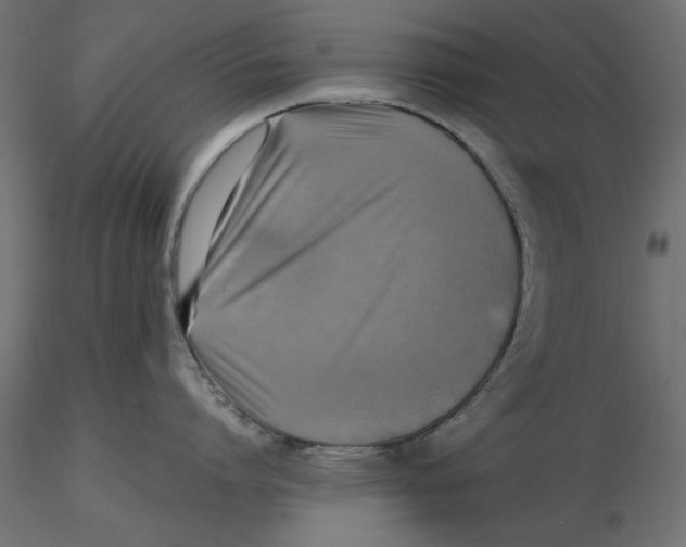 X0000116620864200912312137