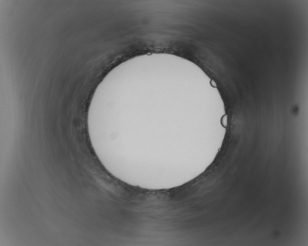 X0000116620865200912312137