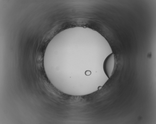 X0000116620866200912312137