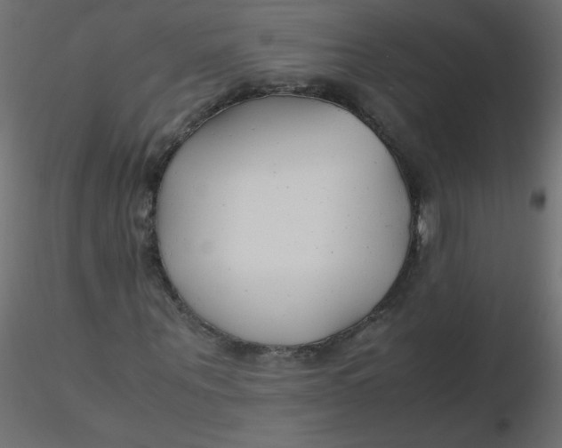 X0000116620867200912312137