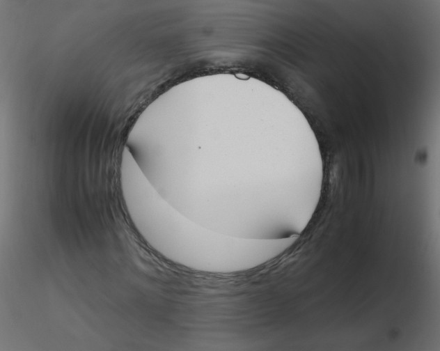 X0000116620868200912312137