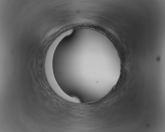 X0000116620869200912312137