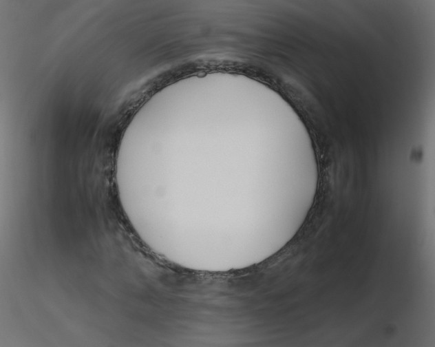 X0000116620870200912312137