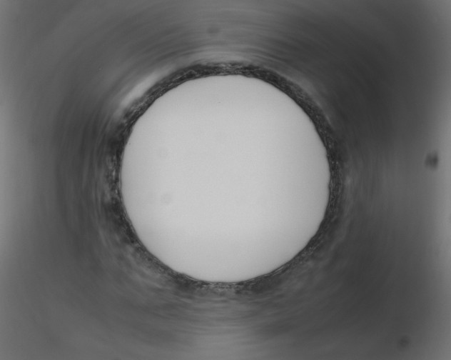 X0000116620871200912312137