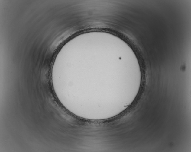 X0000116620873200912312137