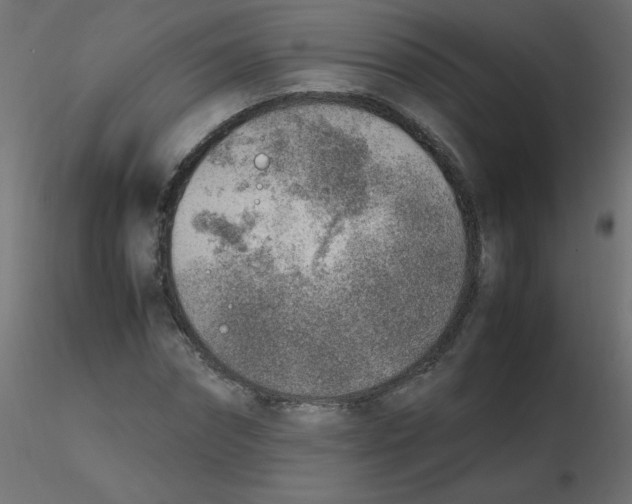 X0000116620874200912312137