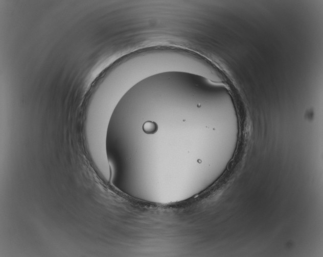 X0000116620877200912312136