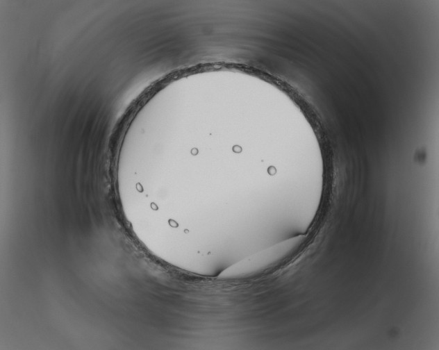 X0000116620878200912312136