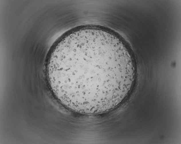 X0000116620879200912312136