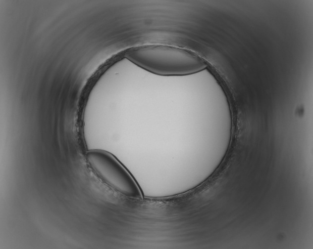 X0000116620880200912312136