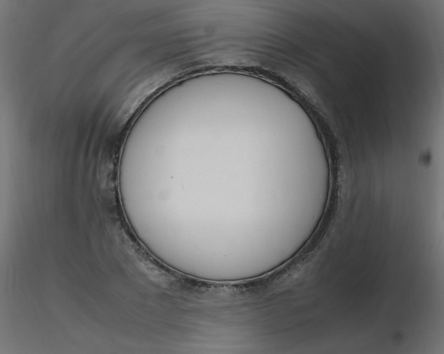 X0000116620881200912312136