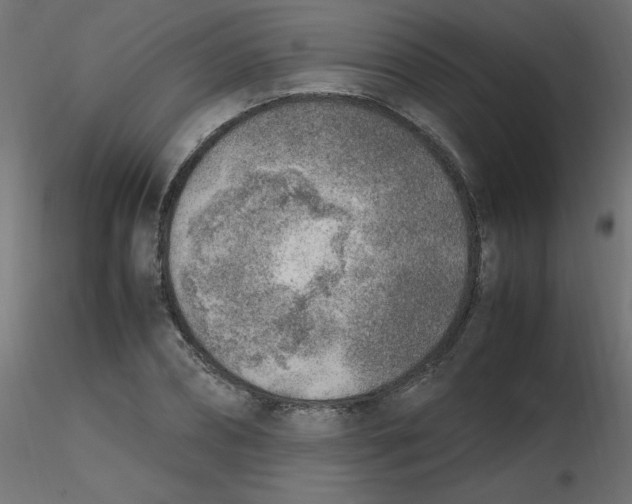 X0000116620882200912312136