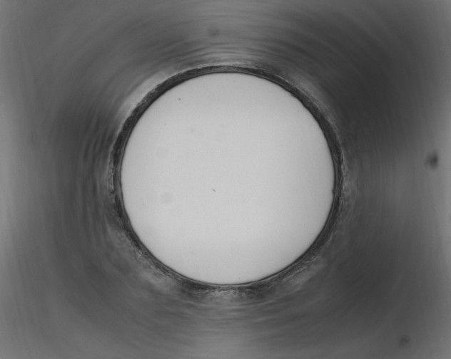 X0000116620883200912312136