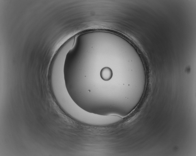 X0000116620885200912312136