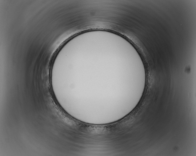 X0000116620886200912312136