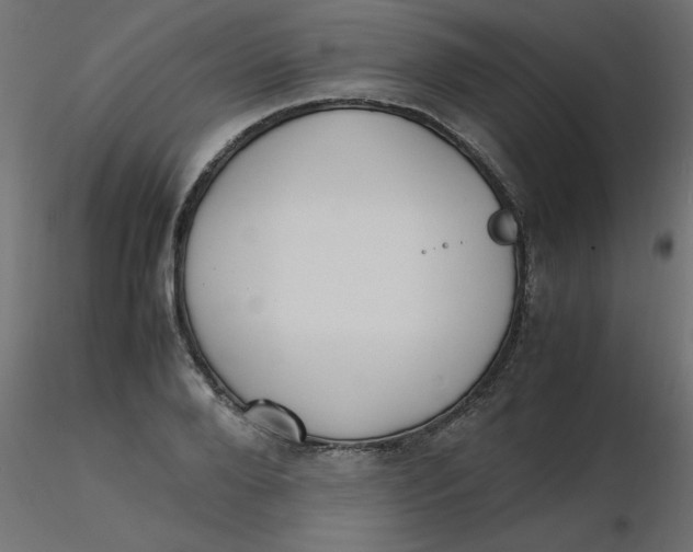 X0000116620888200912312136