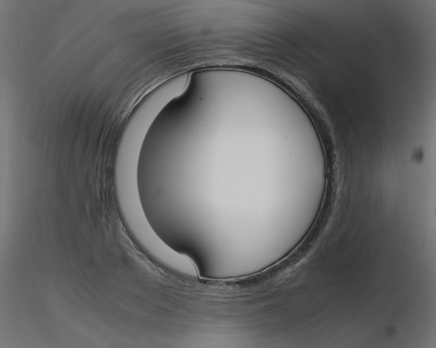 X0000116620889200912312136