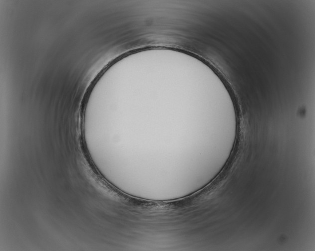 X0000116620891200912312136