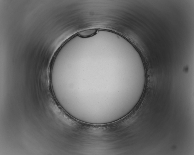 X0000116620892200912312136