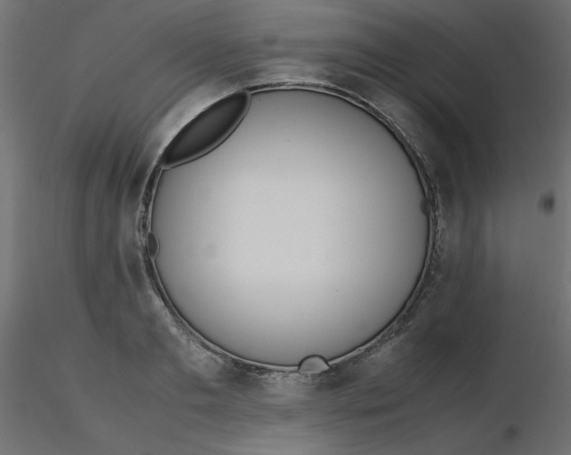 X0000116620893200912312136