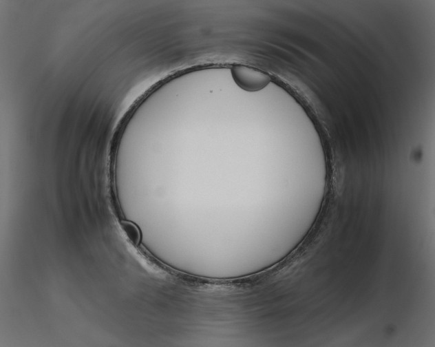 X0000116620894200912312136