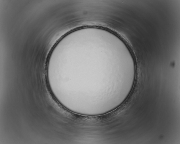 X0000116620895200912312136