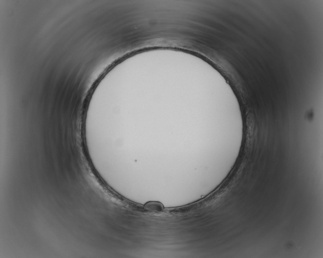 X0000116620896200912312136