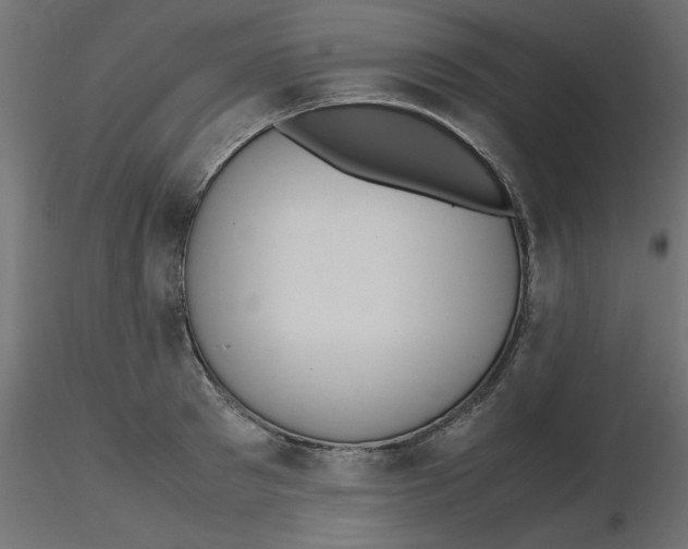 X0000116620897200912312136