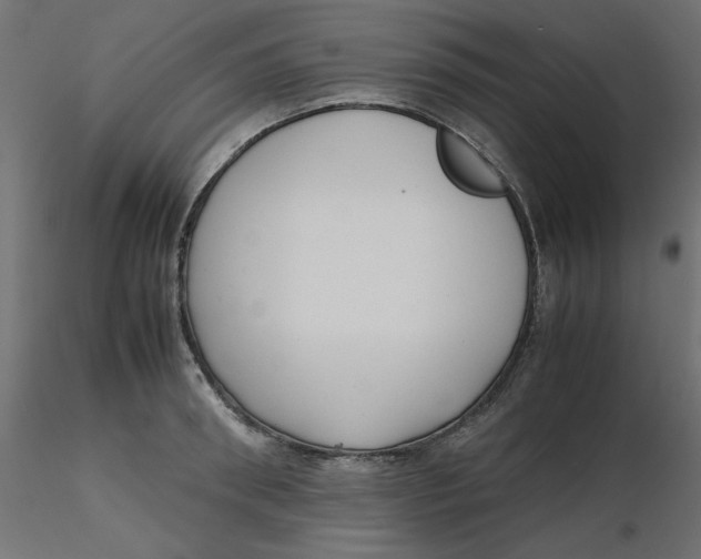 X0000116620898200912312136